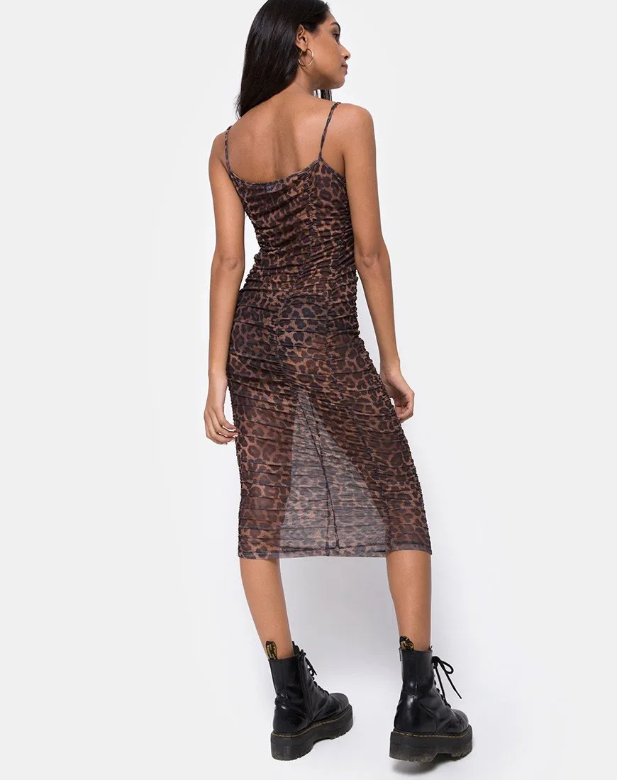 Mauna Dress in Leopard Mesh